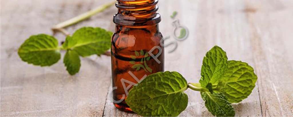 Buy Bergamot Mint Natural Essential Oil
